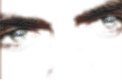 das-zimmer_mira_pferd